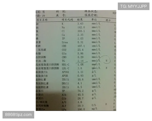 篮球球权交替规则的判定标准与具体说明